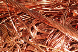 COPPER MILLBERRY